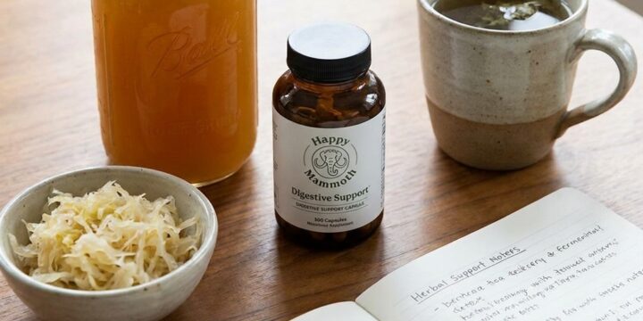 Happy Mammoth gut repair reviews: En djupgående analys